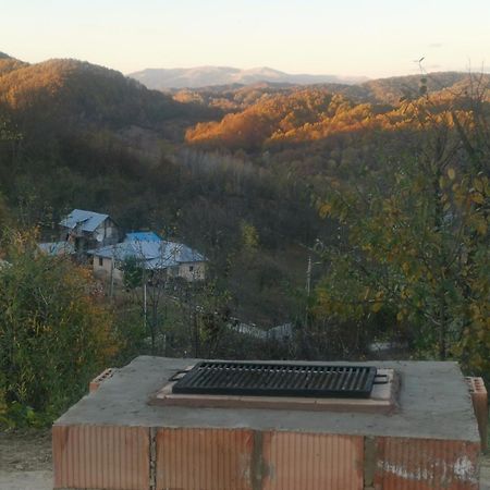 Villa Cabanuta Fara Fite Provita de Jos Exterior foto