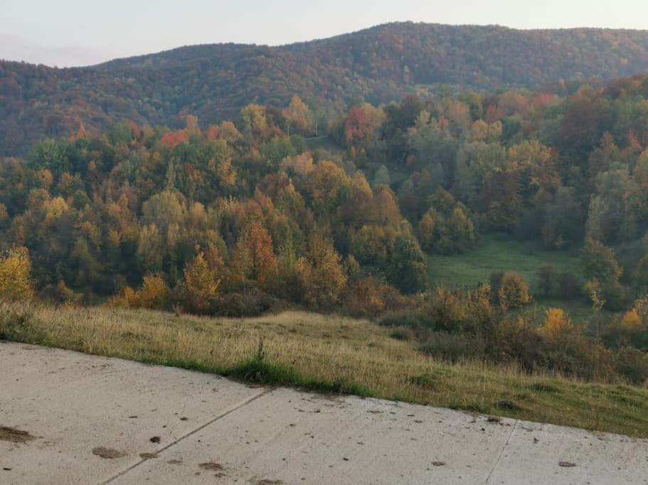 Villa Cabanuta Fara Fite Provita de Jos Exterior foto