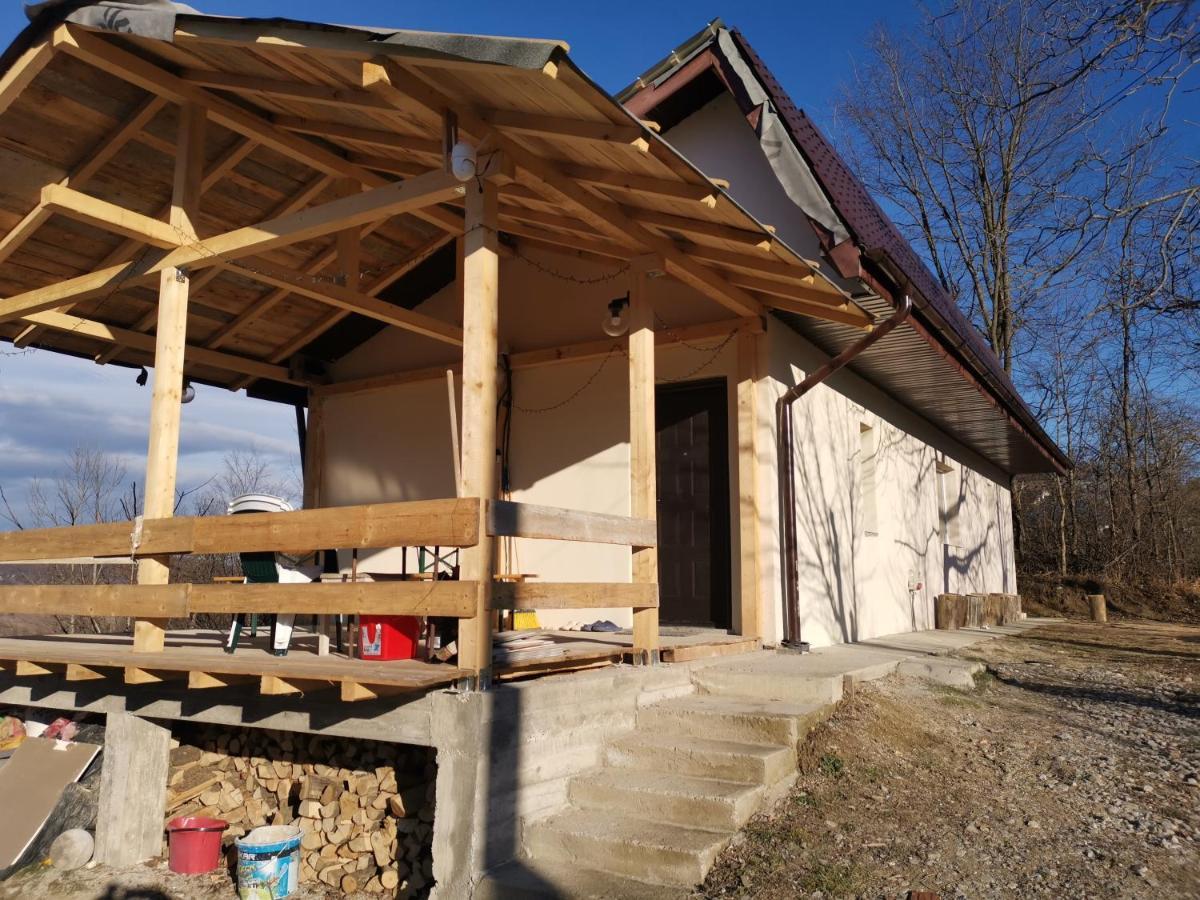 Villa Cabanuta Fara Fite Provita de Jos Exterior foto
