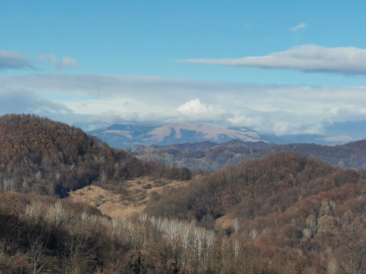 Villa Cabanuta Fara Fite Provita de Jos Exterior foto
