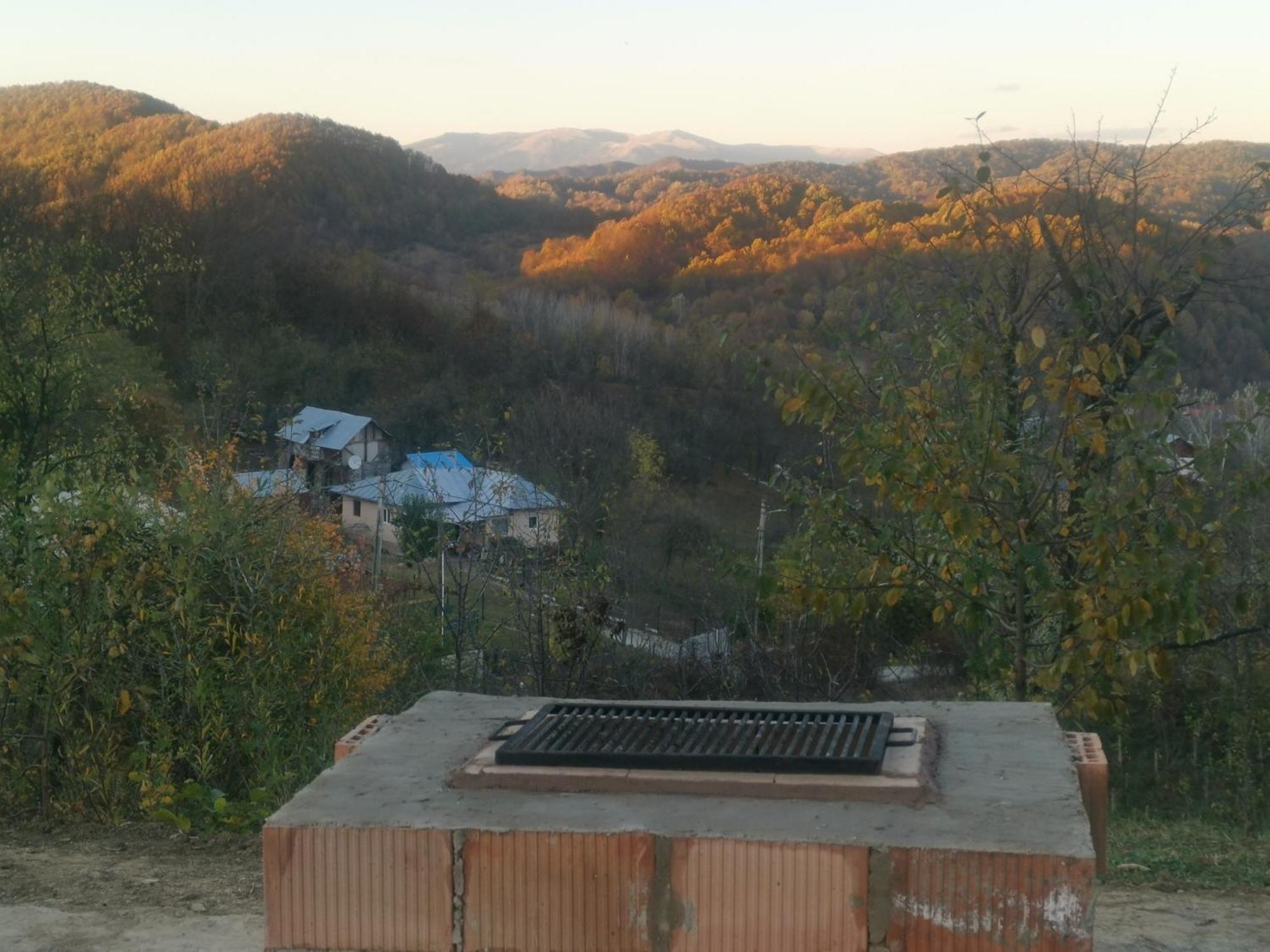 Villa Cabanuta Fara Fite Provita de Jos Exterior foto
